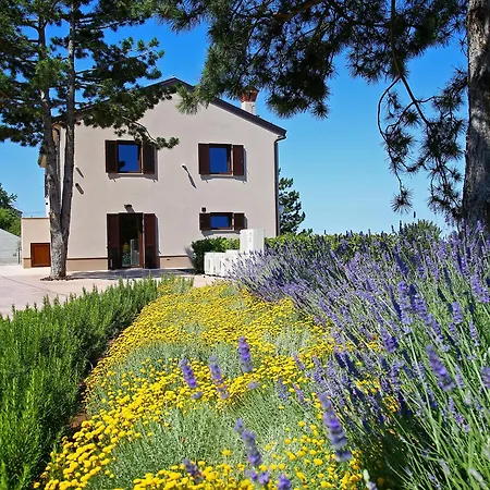 Vila Luxury Gradin *